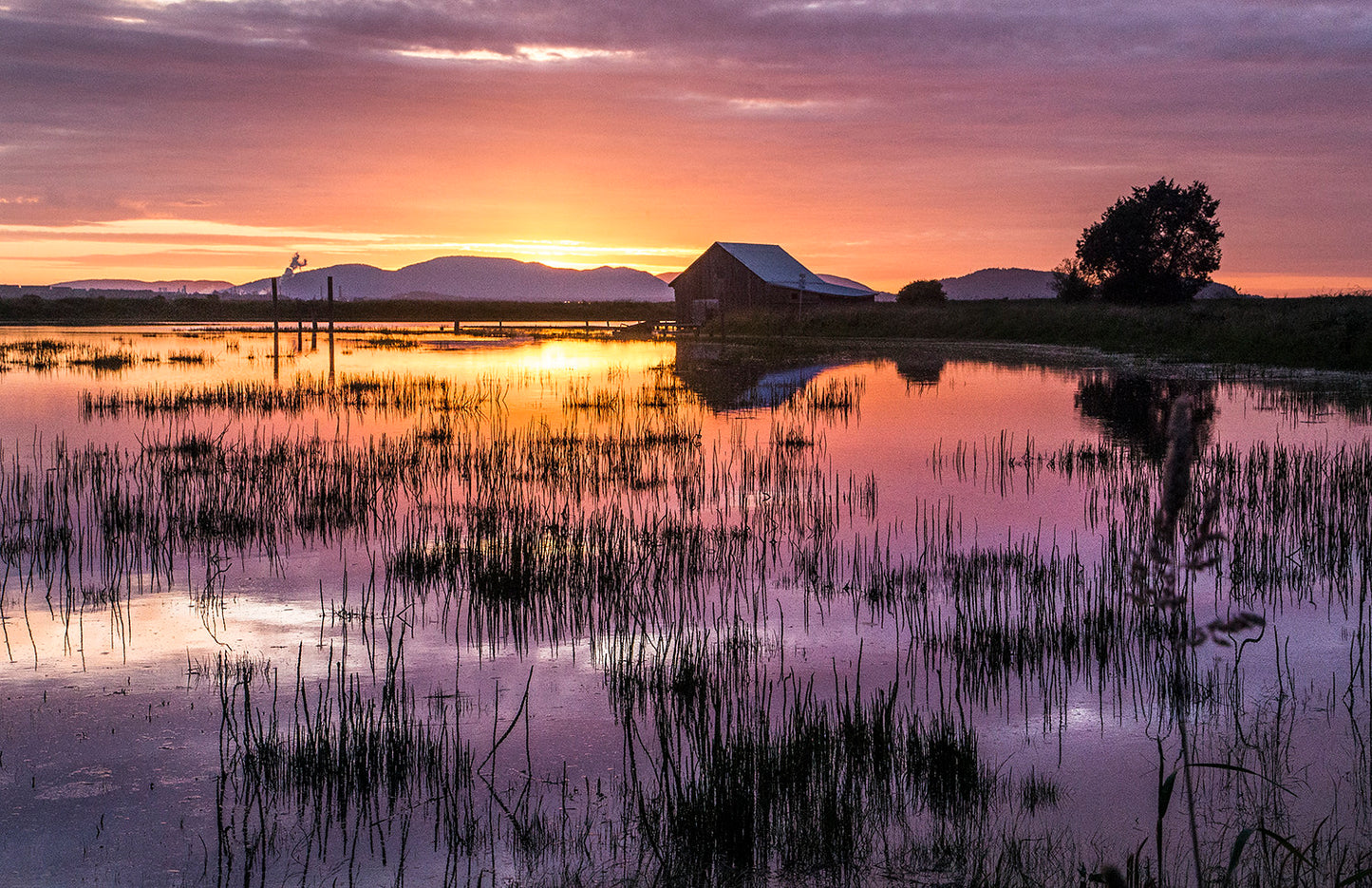 Padilla Bay Sunset