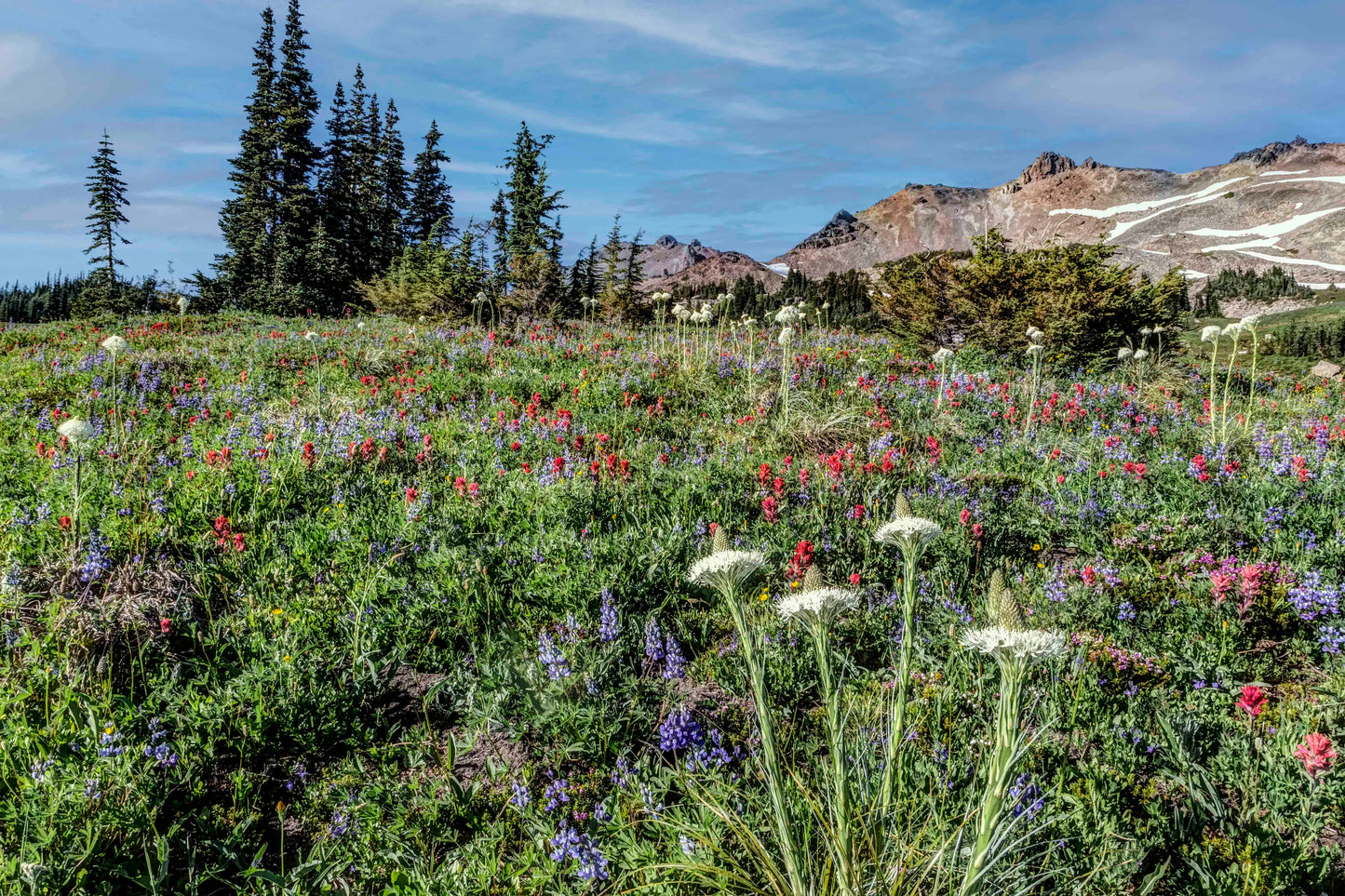 Goat Rocks Wilderness