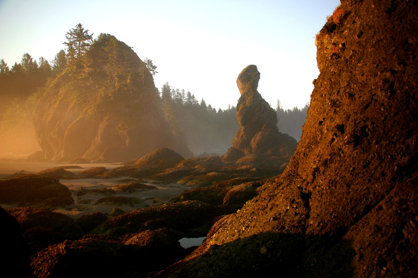Point of the Arches Sunrise, Olympic National Park