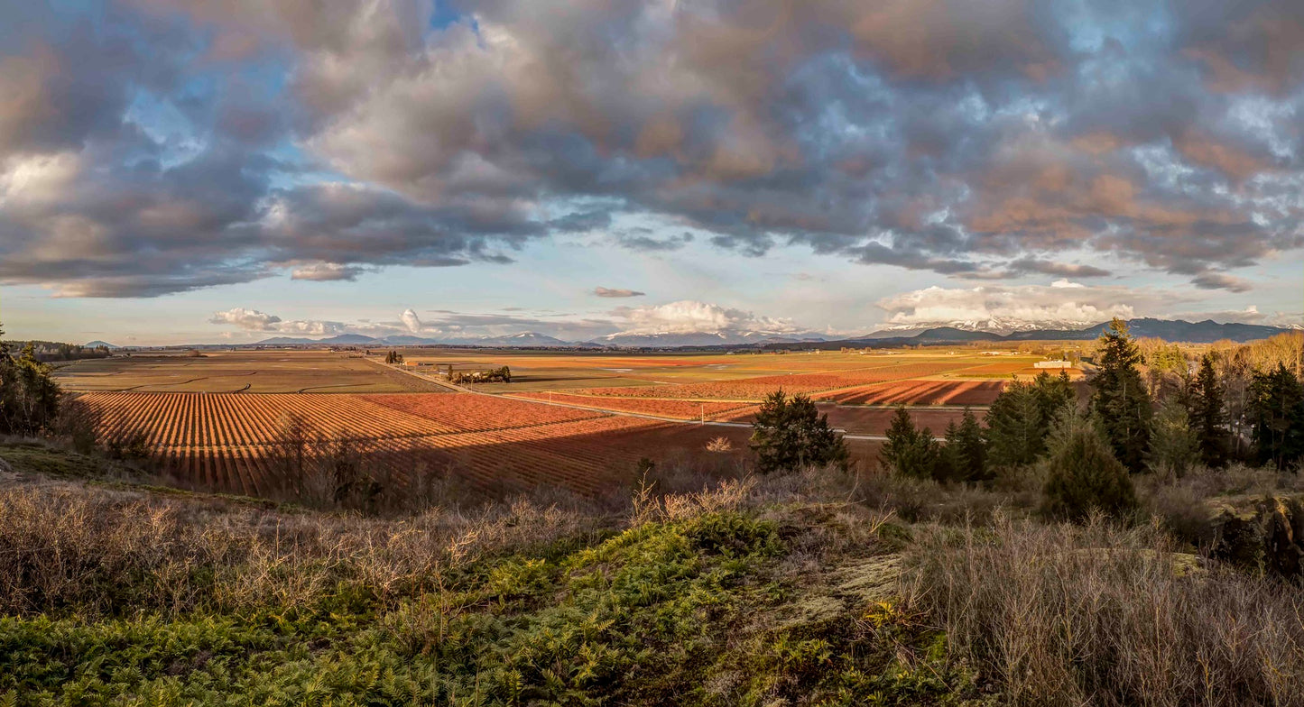 Skagit Valley at Sunset Panorama