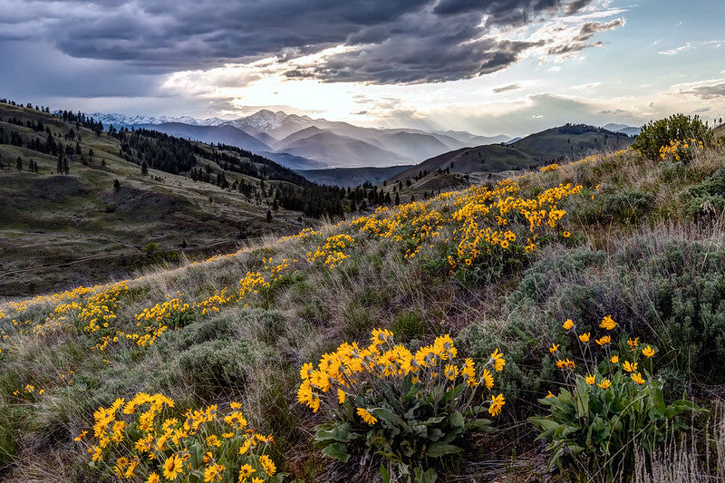 Methow Valley Sunset