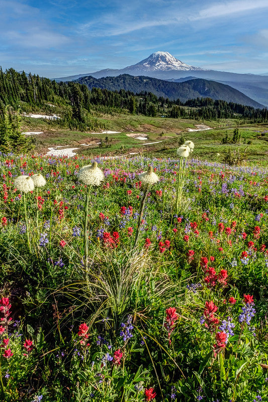 Mount Adams, Goat Rocks Wilderness