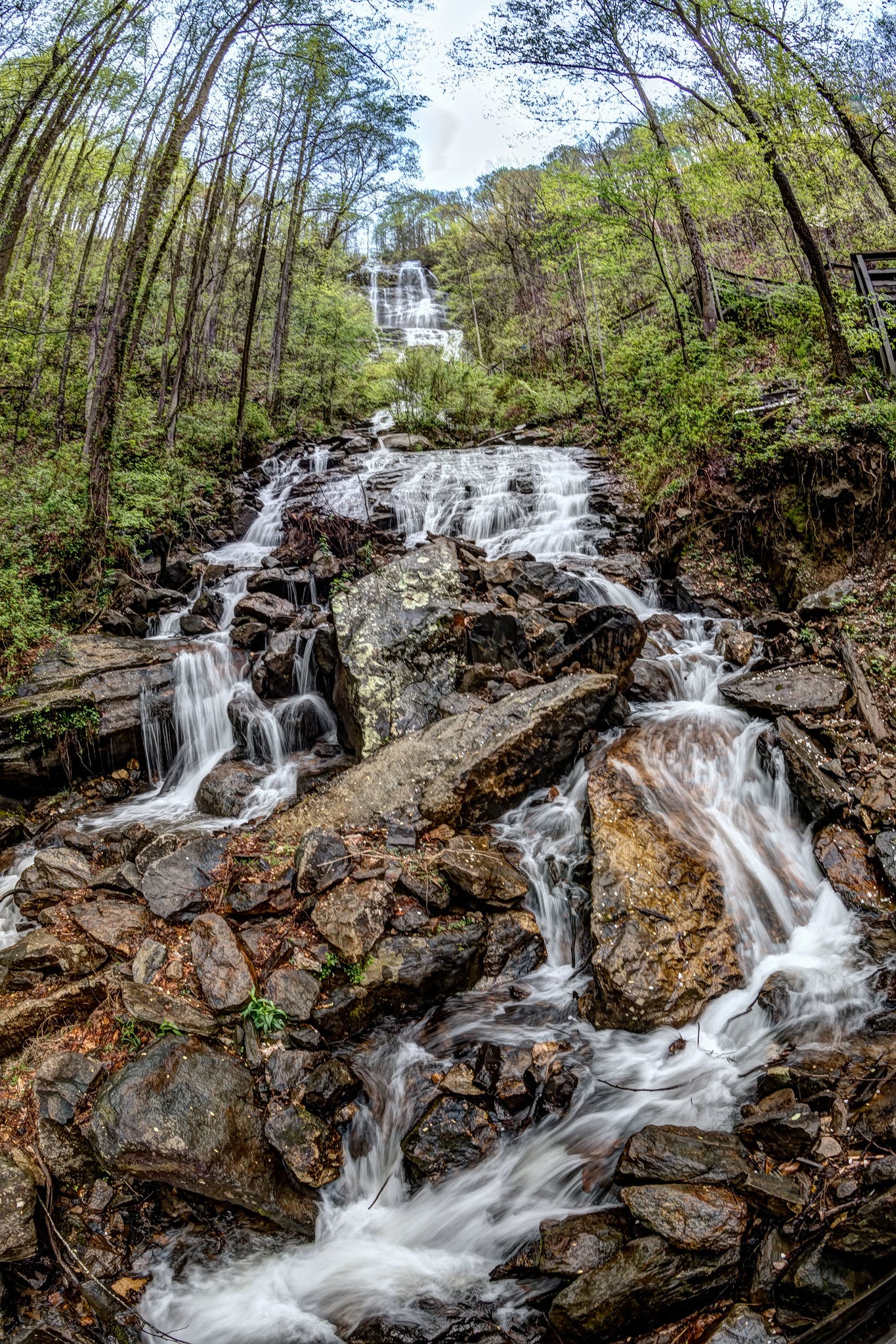 Amicolola Falls State Park, Georgia