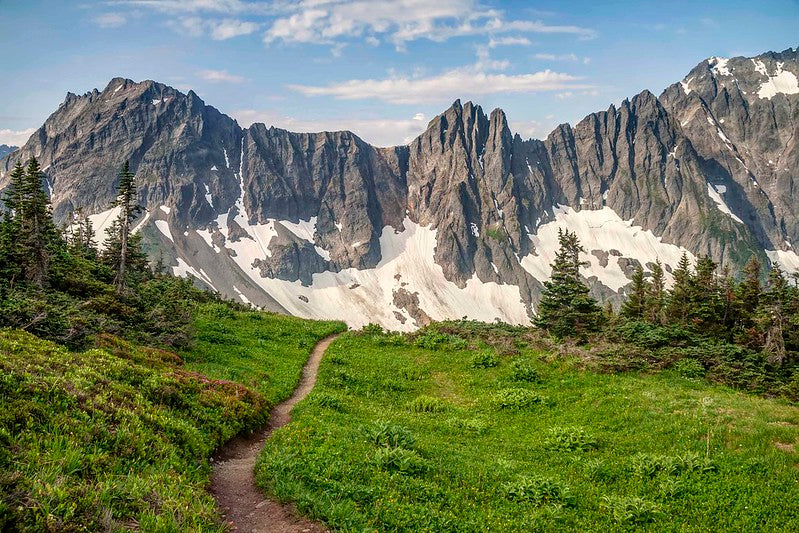 Sahale Arm Trail, North Cascades