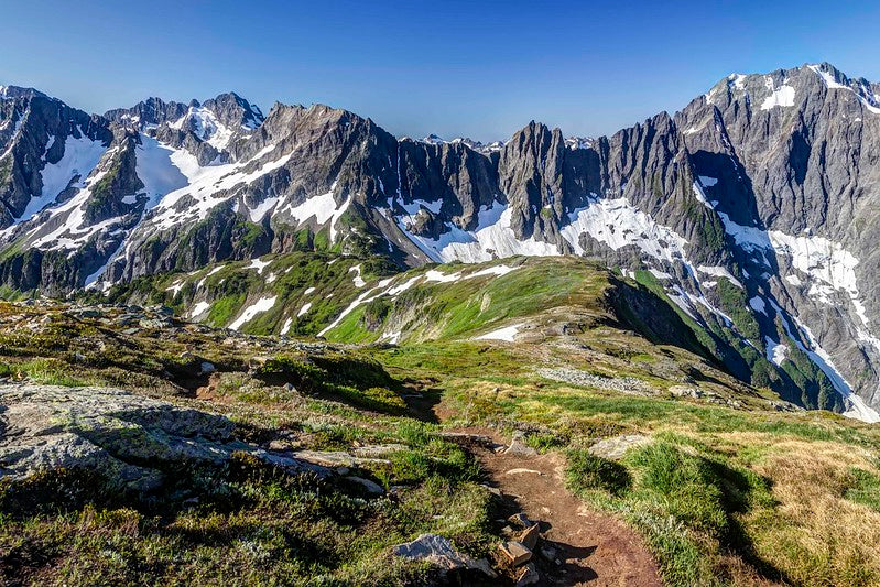 View from Sahale Arm Trail