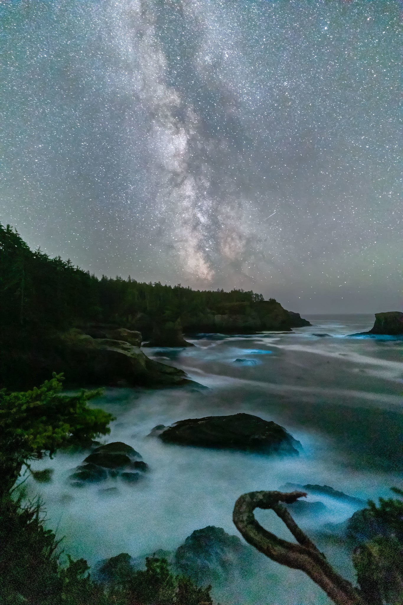 Bioluminesence at Cape Flattery