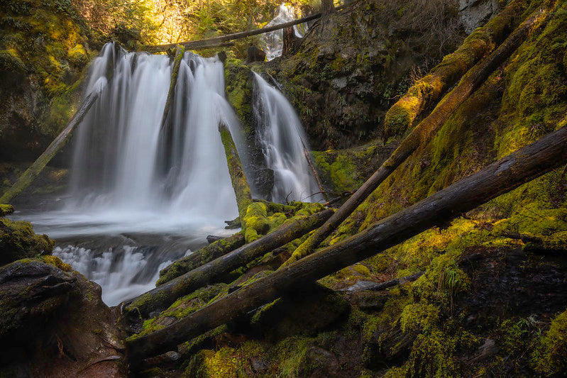 Lower Panther Creek Falls, Columbia Gorge