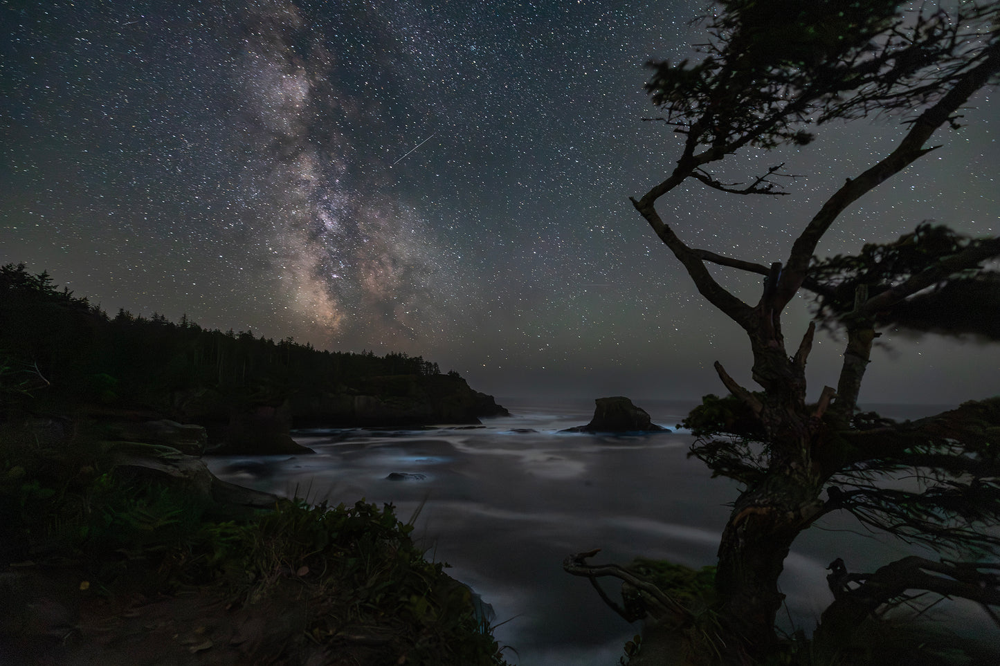 Adobe Photoshop Intermediate (3 sessions)