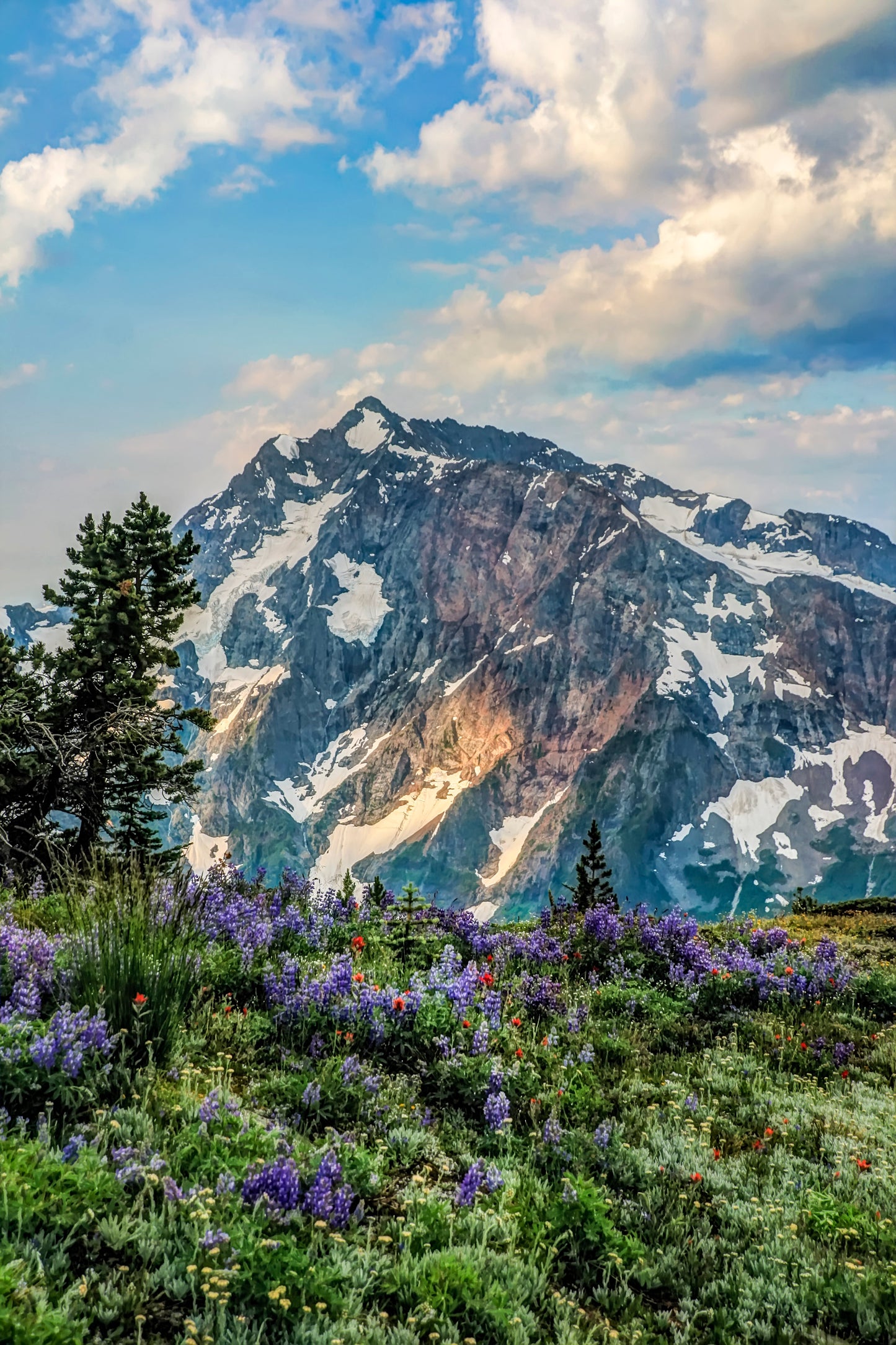 Jack Mtn from Devils Dome, Pasayten Wilderness