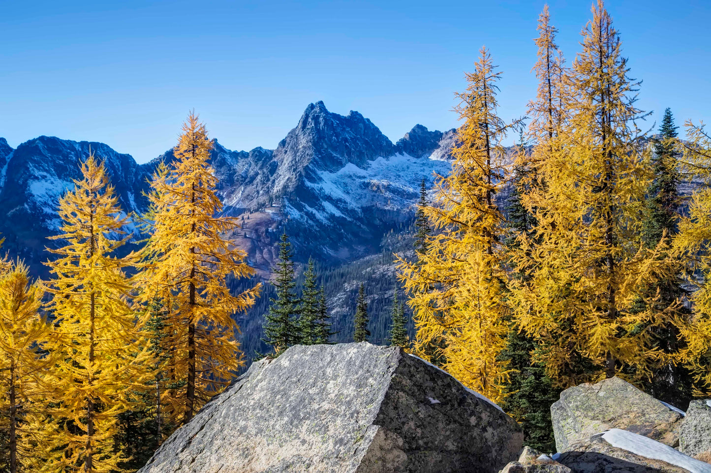 Cutthroat Peak and Larch