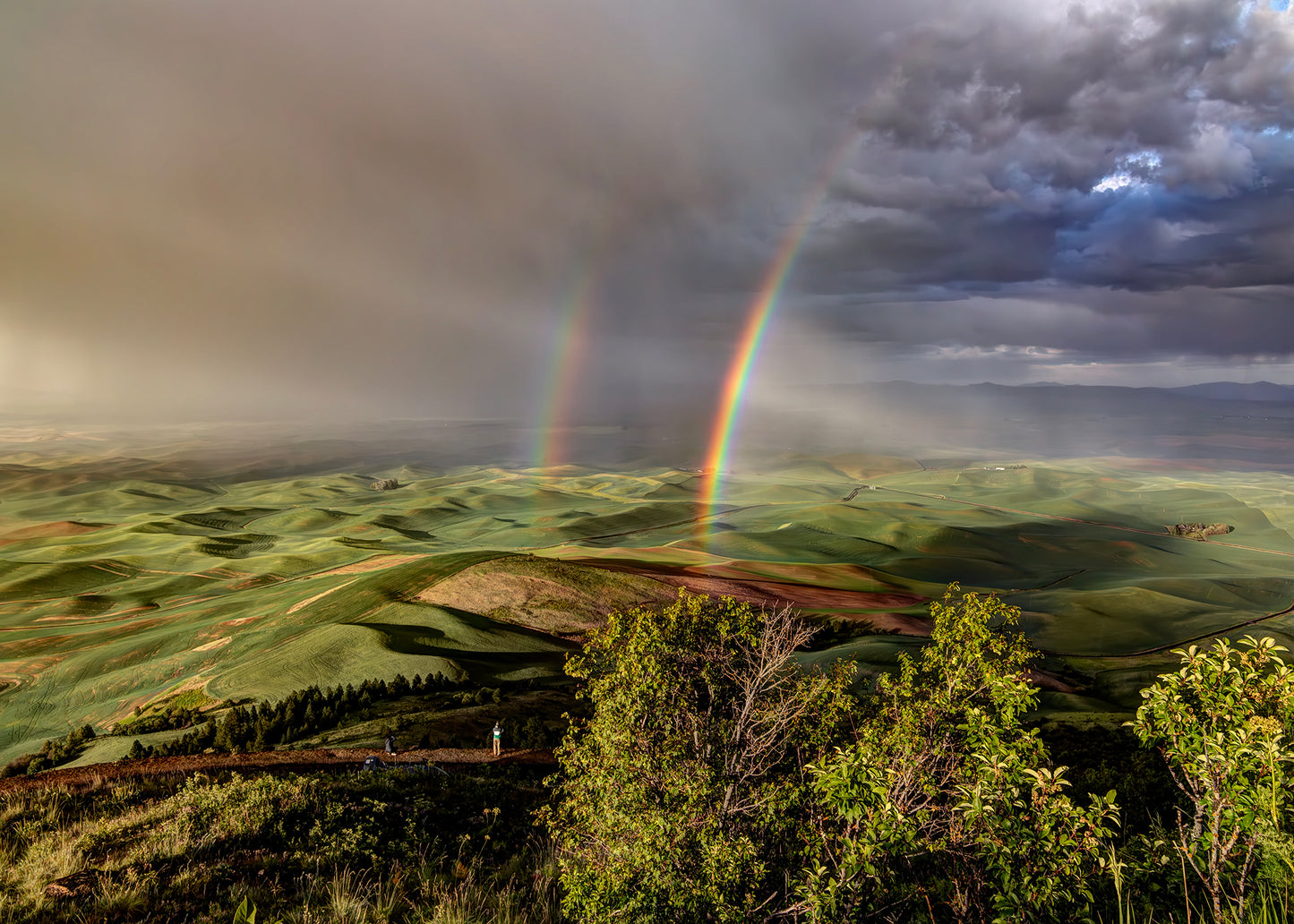 Introduction to Photoshop (2 sessions)