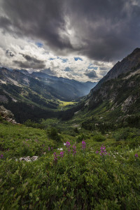 View_of_Spider_Meadows