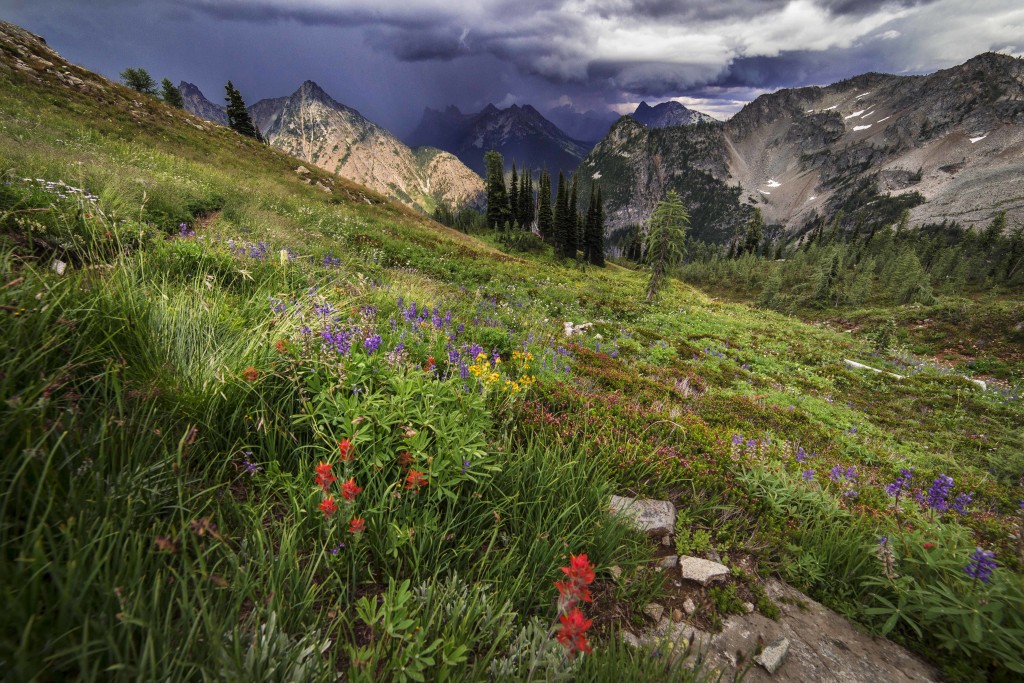 Stormy Skies along the Maple Pass Loop