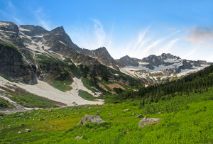 North Fork Meadows