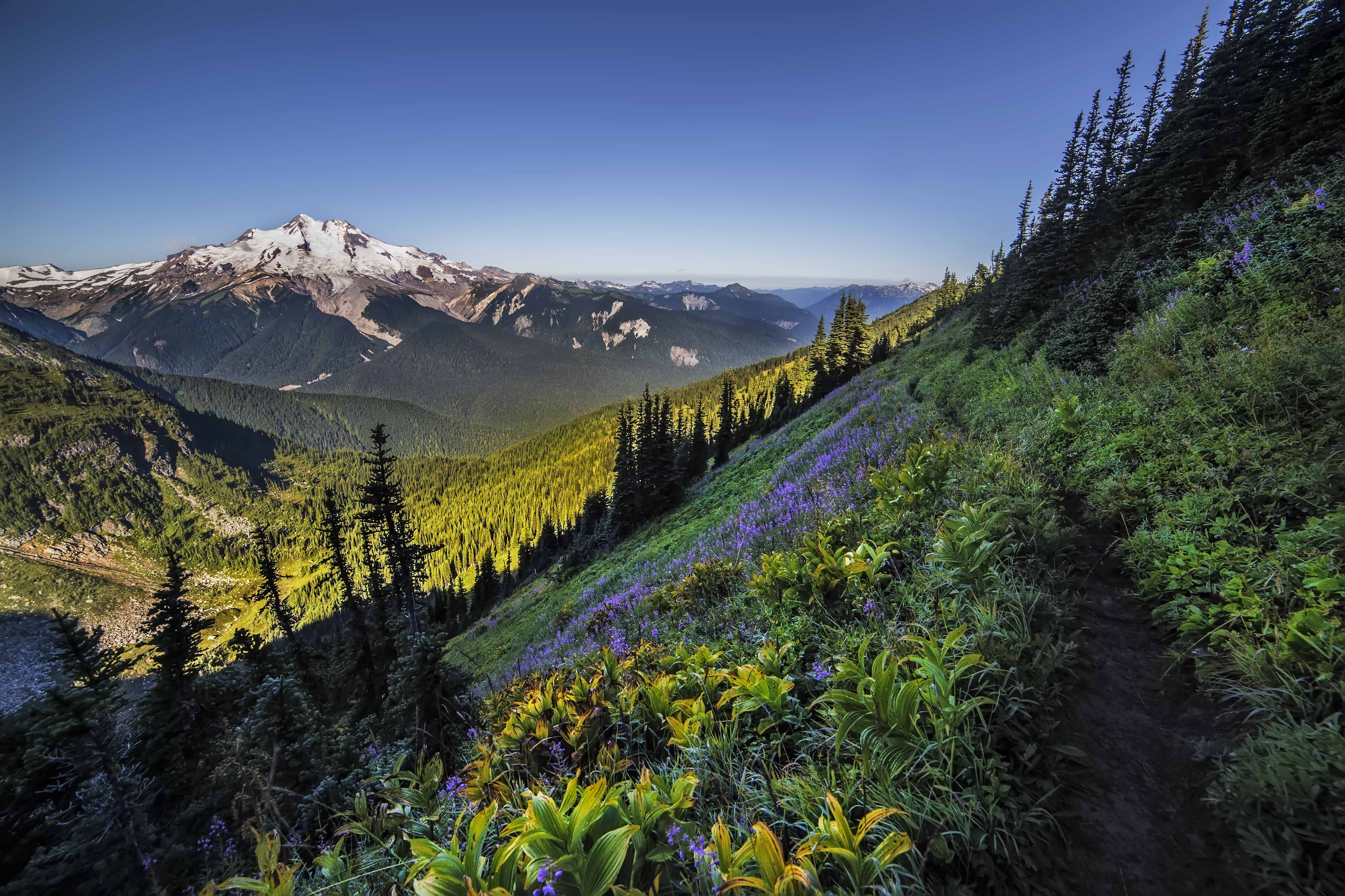 Glacier Peak Wilderness - Blog - Andy Porter Images