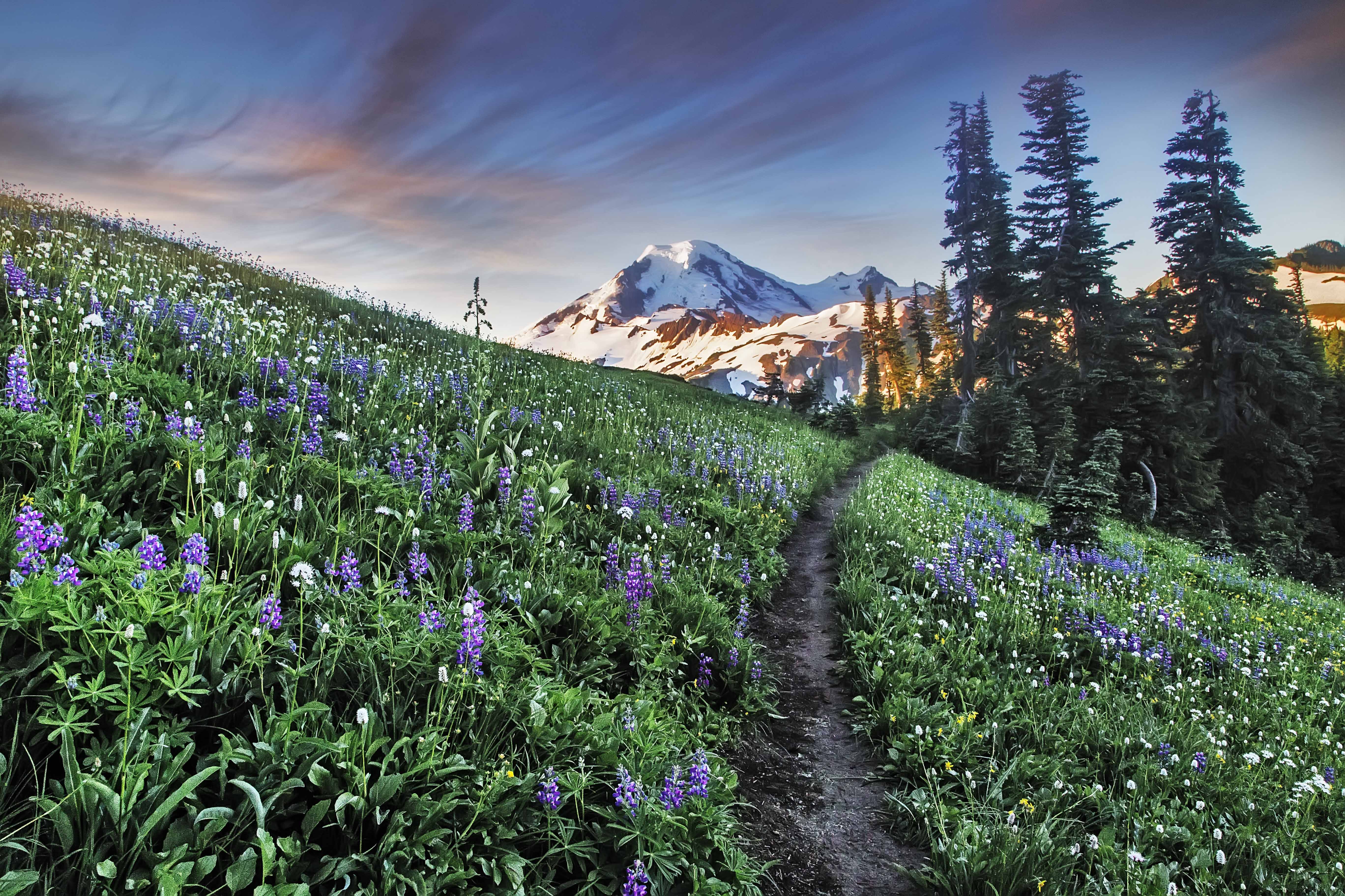 Skyline Divide Trail