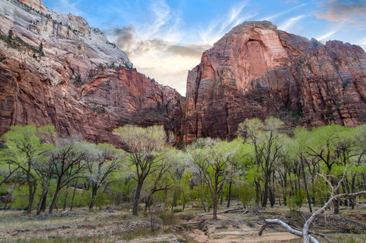 Zion National Park, Utah