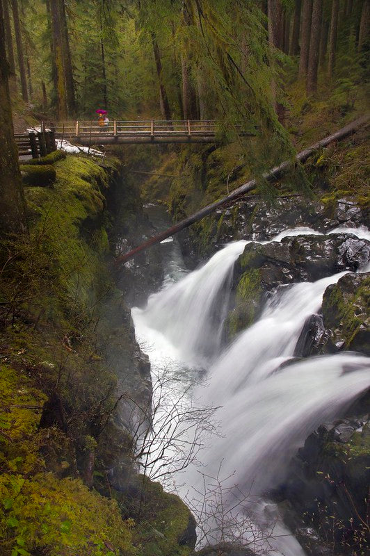 Sol Duc Falls, Olympic National Park