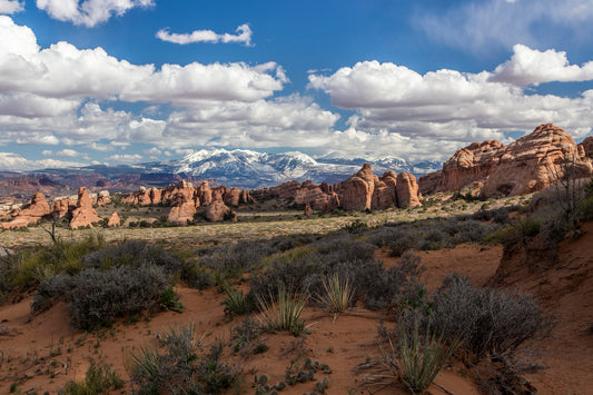 Devils Garden Trail, Arches National Park, Utah