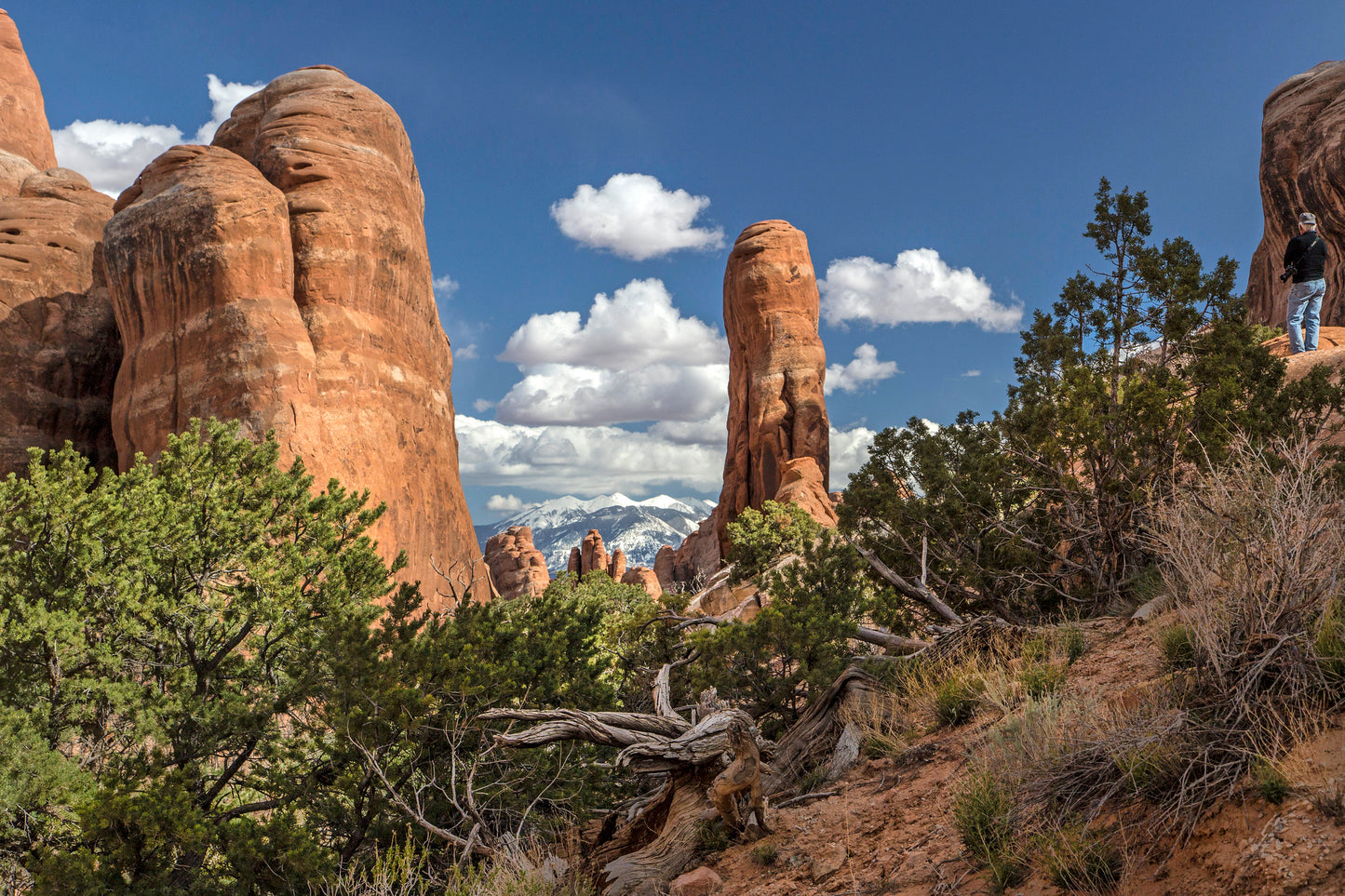 Devils Garden Trail, Arches National Park, Utah