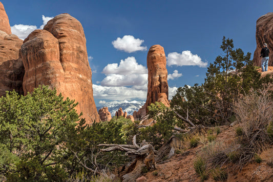 Devils Garden Trail, Arches National Park, Utah