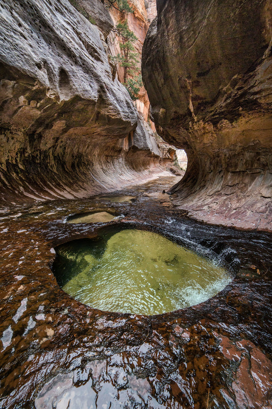 The Subway, Zion National Park, Utah