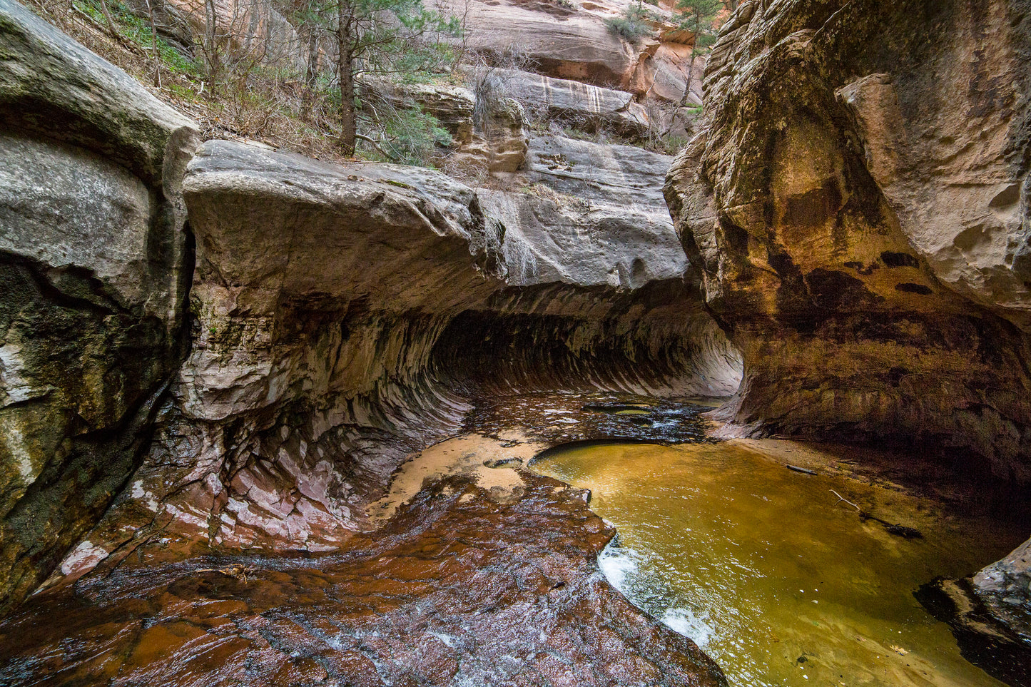 The Subway, Zion National Park, Utah