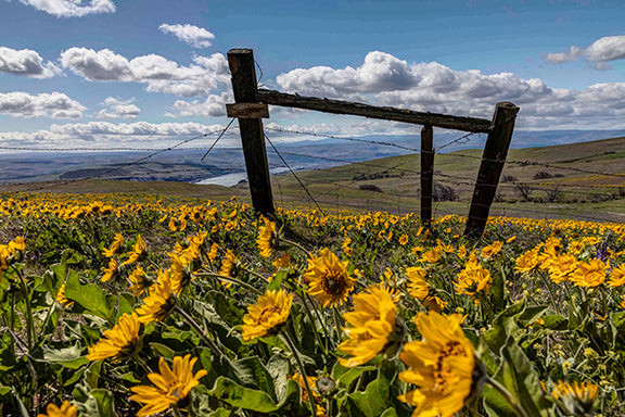 Columbia Hills State Park
