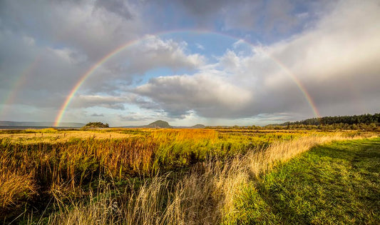 Double Rainbows at Fir Island