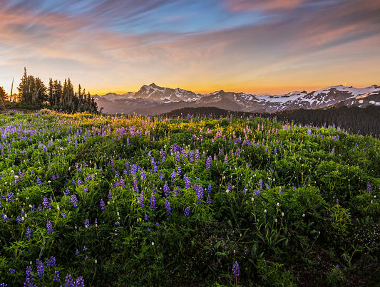 Mount Shuksan Morning Light