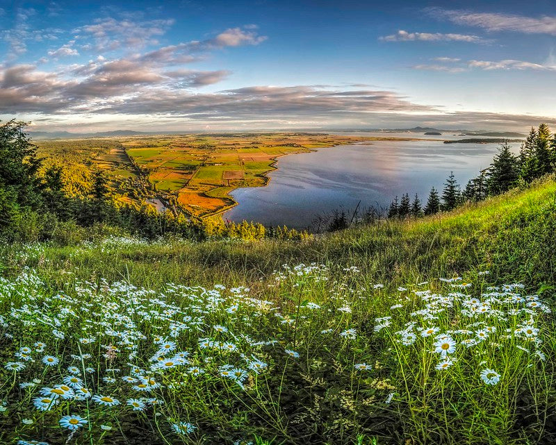 Skagit Valley from Samish Overlook