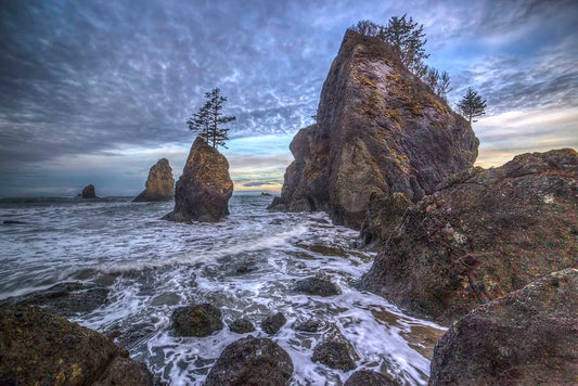Point of the Arches, Olympic National Park