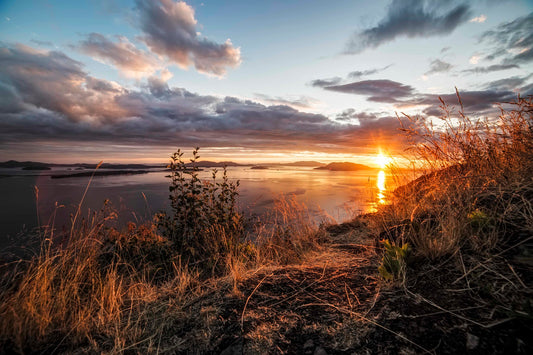 Samish Overlook Sunset