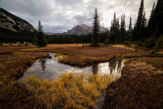 Silver Star Mountain and fall colors at Washington Pass