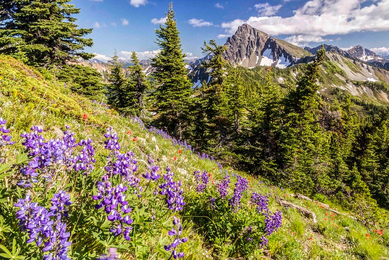 Three Fools Peak, Pasayten Wilderness