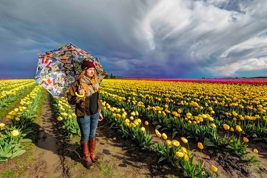 Skagit Valley Tulips and Umbrella