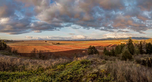 Skagit Valley at Sunset Panorama