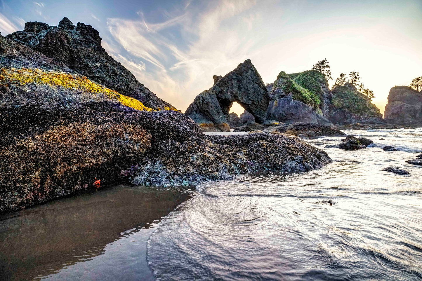 Point of the Arches, Olympic National Park