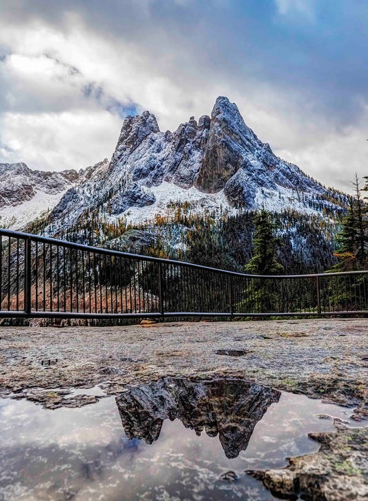 Liberty Bell Reflected
