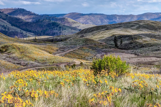Methow Valley North Cascades