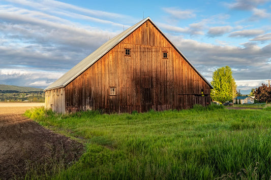 Fir Island Barn, Skagit Valley