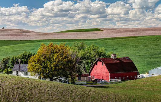 Palouse Red Barn