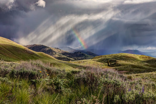 Methow Valley Rainbows