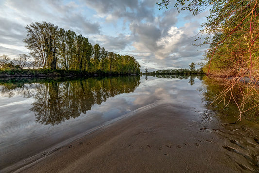 South Fork, Skagit River