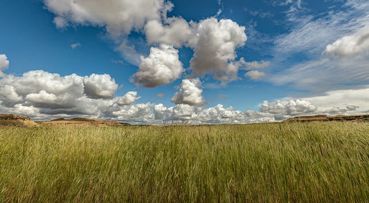 Palouse Clouds