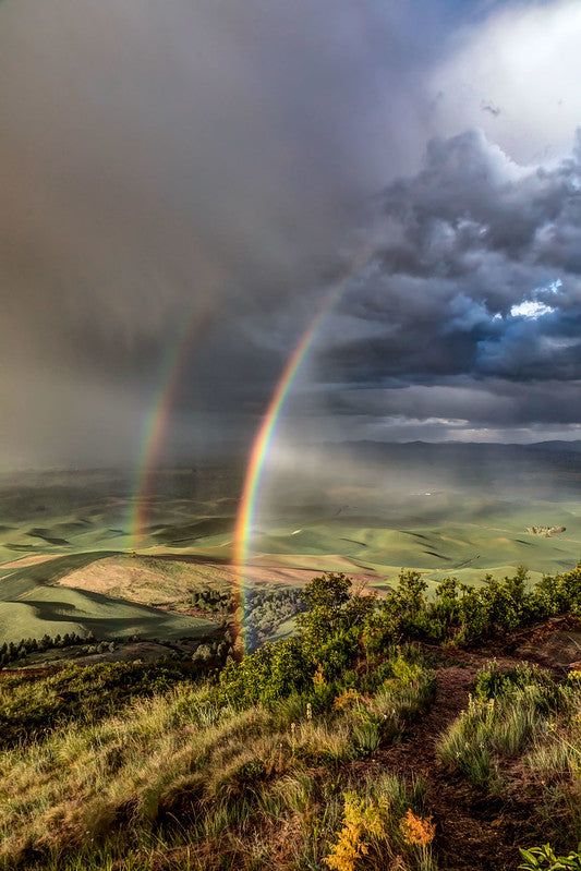 Rainbows from Steptoe Butte