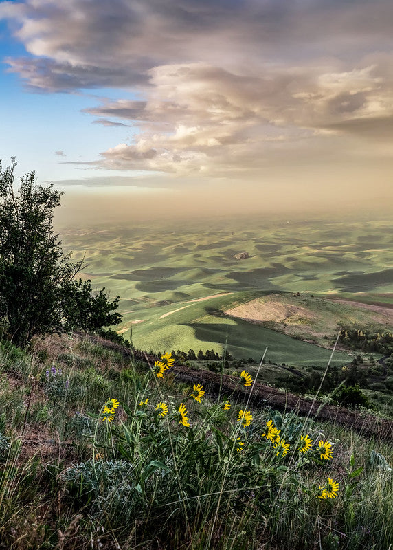 Sunset from Steptoe Butte