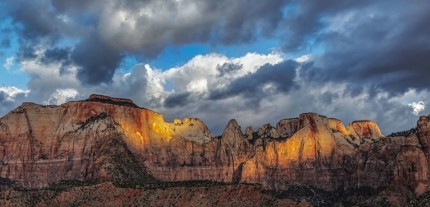Morning Light, Zion National Park