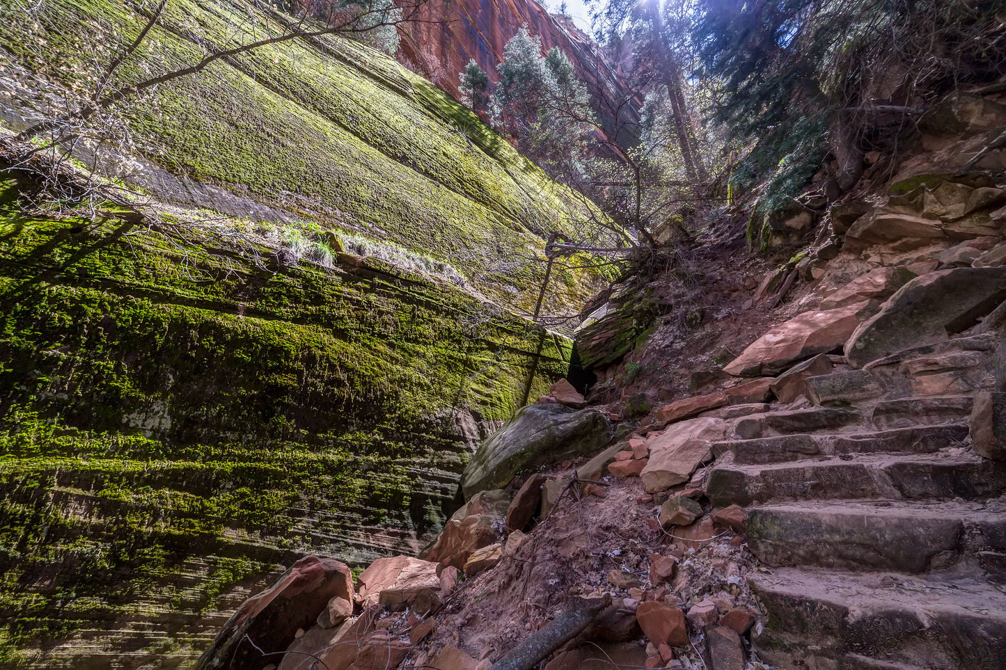Canyon Trail, Zion National Park