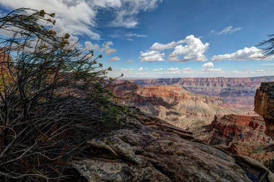 Grand Canyon, Arizona